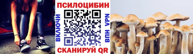 Галлюциногенные грибы Cubensis  наркотики  Черногорск 