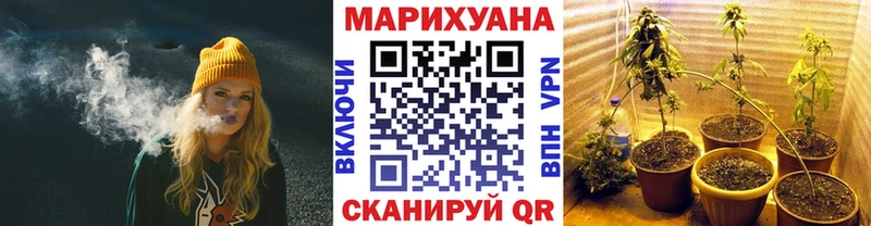 МАРИХУАНА сатива Черногорск